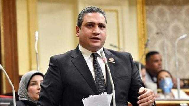 عماد خليل” نائب التنسيقية” : الصورة الذهنية عن مجلس النواب أفضل
