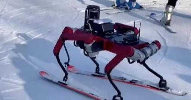 روبوت صينى سداسى الأرجل يتحرك بألواح تزلج فى البيئات الثلجية